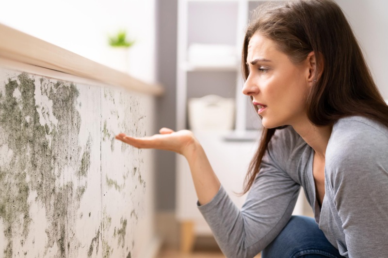 Hidden Dangers of Ignoring Water Leaks