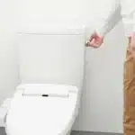 professional toilet repair in Littleton